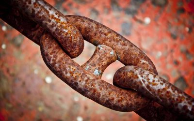 Day 10 – Your Trust That Will Not Rust